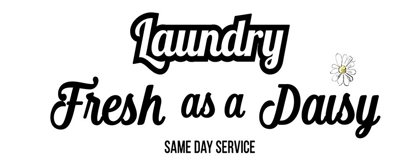 Picture of DAISY LAUNDRY