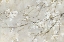 Picture of BLOSSOM CONFETTI
