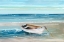 Picture of SHORE HOPPING