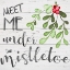 Picture of MISTLETOE