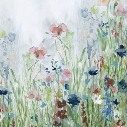 Picture of WILDFLOWER MEADOW II