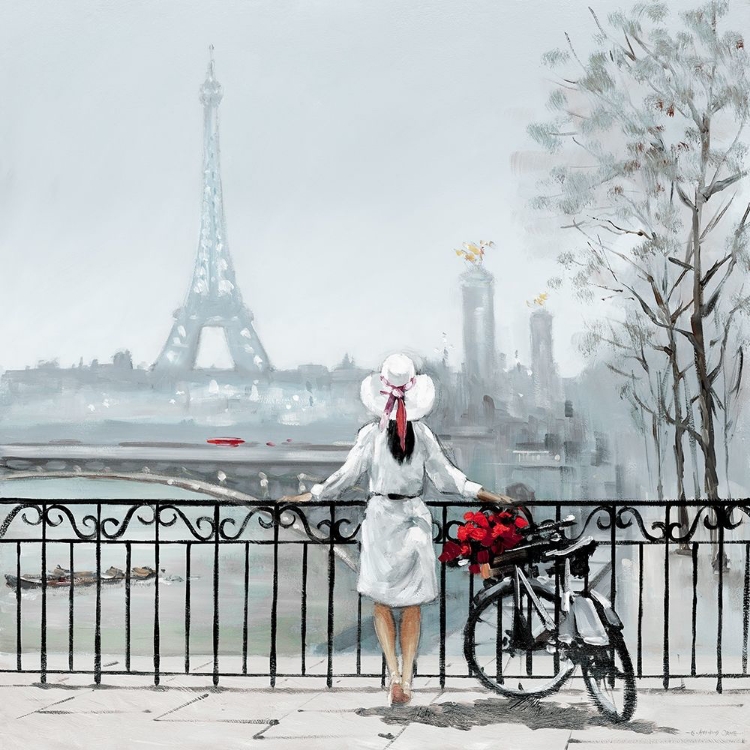 Picture of LADY IN PARIS