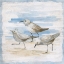Picture of SHORE BIRDS II