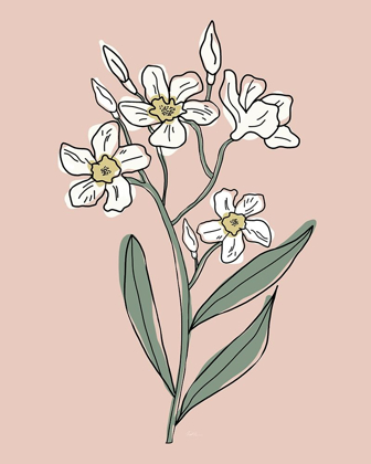 Picture of OUTLINE BOTANICAL I