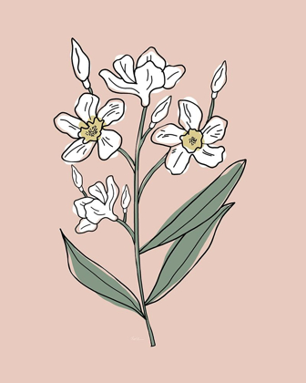 Picture of OUTLINE BOTANICAL II