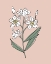 Picture of OUTLINE BOTANICAL II