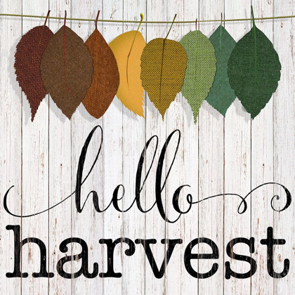 Picture of HELLO HARVEST