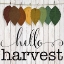 Picture of HELLO HARVEST
