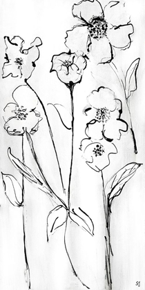 Picture of SKETCHY WILDFLOWERS II