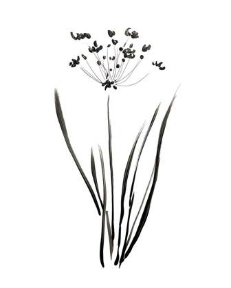 Picture of INKY BOTANICAL II