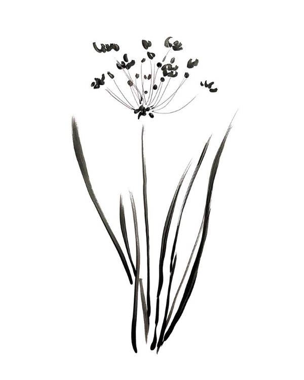 Picture of INKY BOTANICAL II
