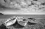 Picture of CANARY ISLAND FISHING BOATS