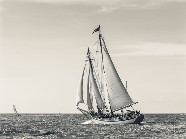 Picture of OCEAN SCHOONER