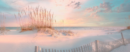 Picture of THROUGH THE SEA GRASS