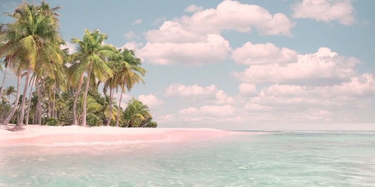 Picture of PINK SAND AND PALMS