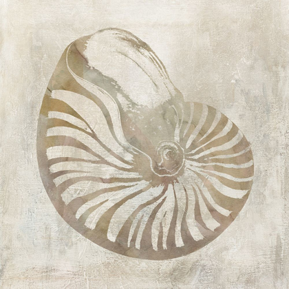 Picture of SEASHELL ILLUSION I