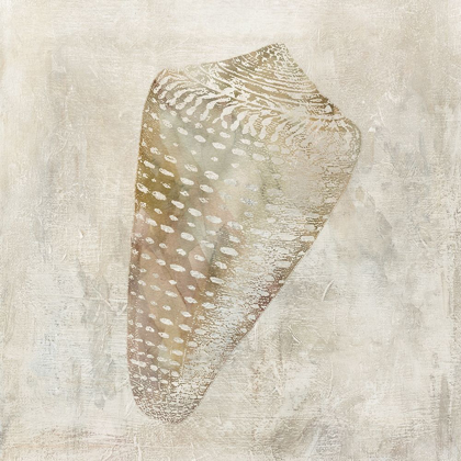 Picture of SEASHELL ILLUSION II