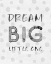 Picture of DREAM BIG