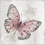 Picture of PASSION BUTTERFLY