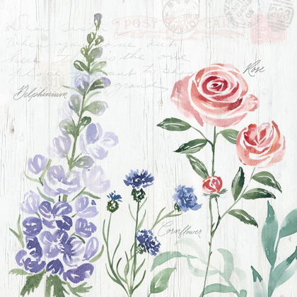 Picture of GARDEN LOVE LETTERS II