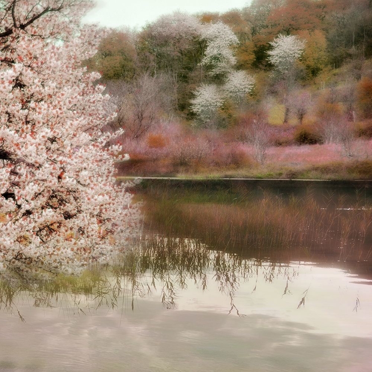 Picture of FELL THE JOY OF SPRING