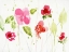 Picture of WATERY IMPATIENS II