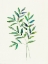 Picture of BREATH OF SPRING II