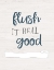 Picture of FLUSH IT