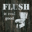 Picture of FLUSH IT REAL GOOD