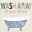 Picture of WASH AWAY