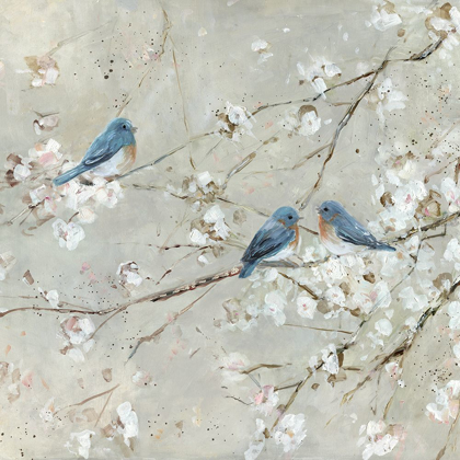Picture of BLUE BIRD MELODY