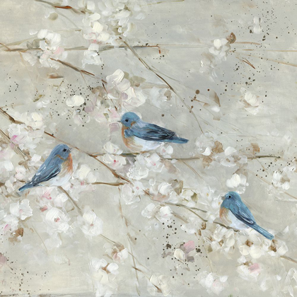 Picture of BLUE BIRD MELODY