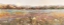 Picture of MEADOW SUNRISE