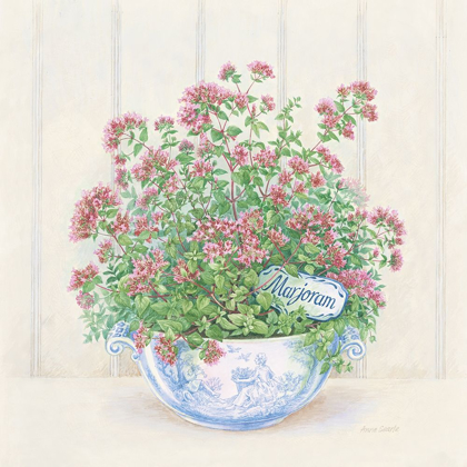 Picture of MARJORAM