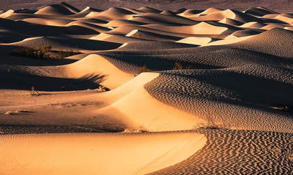 Picture of DEATH VALLEY