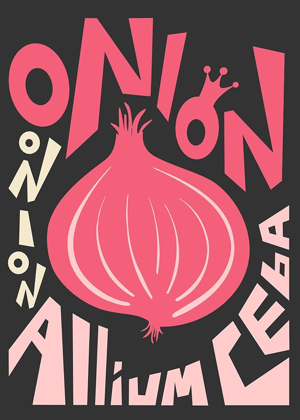 Picture of KITCHEN ONION