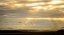 Picture of SUNRISE ON THE ESTUARY