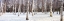 Picture of HOKKAIDO 4