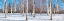 Picture of HOKKAIDO 1