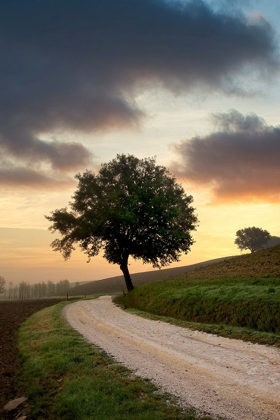 Picture of TUSCAN FARM ROAD SUNRISE #2