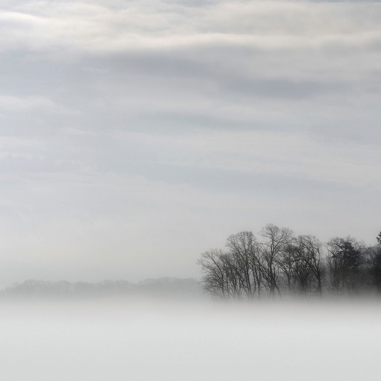 Picture of LAKE OF FOG