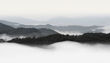 Picture of ROLLING FOG, SMOKY MOUNTAINS NO. 2