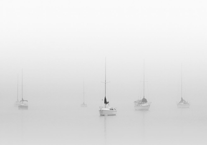 Picture of SIX MOORED SAILBOATS