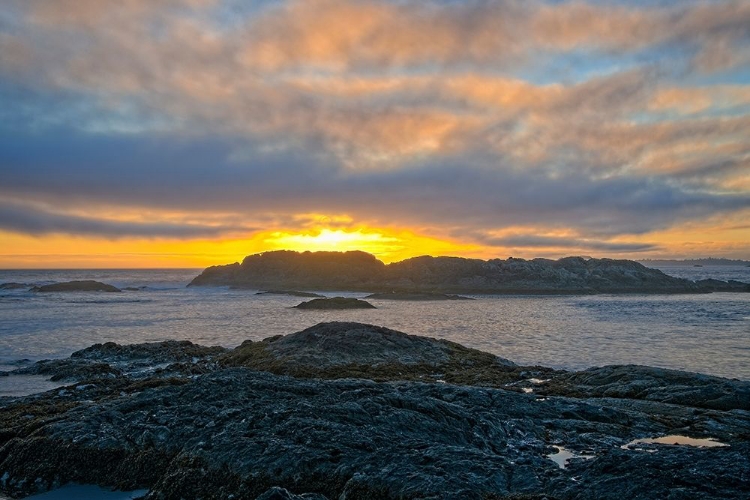 Picture of WICKANINNISH SUNSET