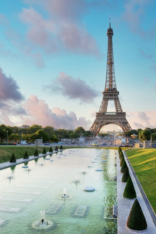 Picture of EIFFEL TOWER VIEW I