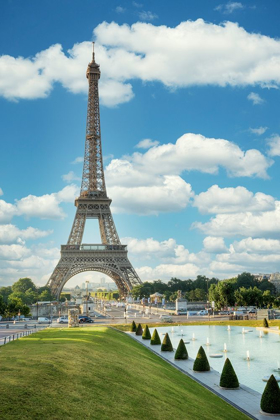Picture of EIFFEL TOWER VIEW III