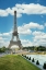 Picture of EIFFEL TOWER VIEW III