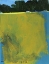 Picture of NICOTINE