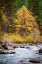 Picture of AUTUMN ACROSS THE RIVER