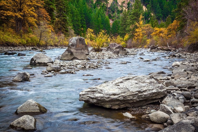 Picture of ROCKY RIVER